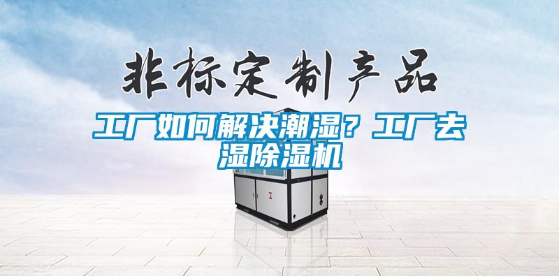 工廠如何解決潮濕？工廠去濕除濕機