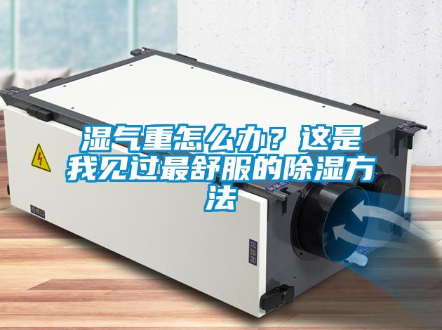 濕氣重怎么辦？這是我見過最舒服的除濕方法