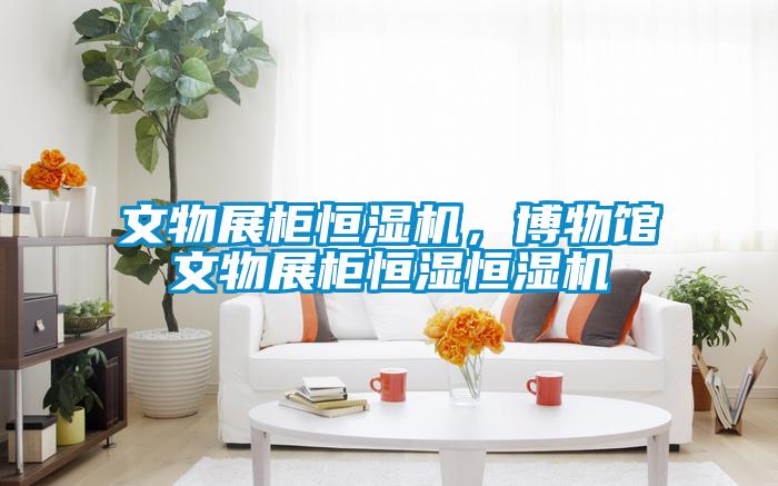 文物展柜恒濕機(jī)，博物館文物展柜恒濕恒濕機(jī)