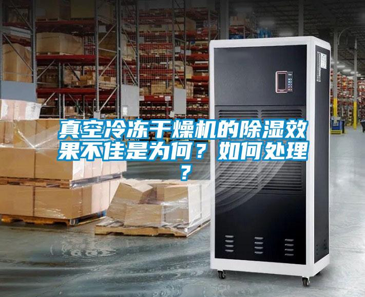 真空冷凍干燥機(jī)的除濕效果不佳是為何？如何處理？