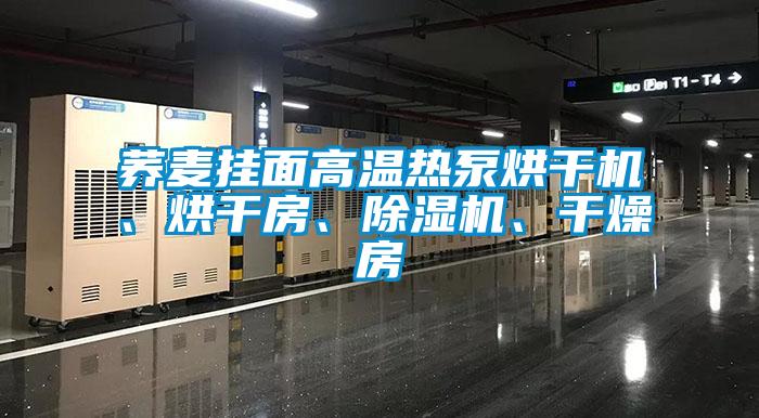 蕎麥掛面高溫?zé)岜煤娓蓹C(jī)、烘干房、除濕機(jī)、干燥房