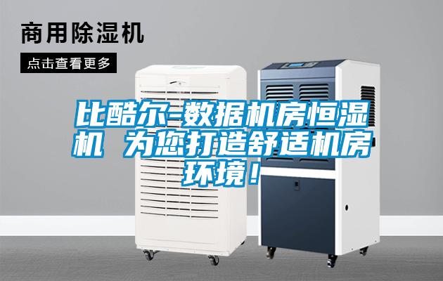 比酷爾-數(shù)據(jù)機房恒濕機 為您打造舒適機房環(huán)境！