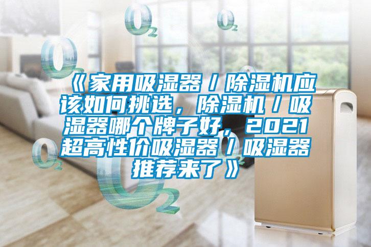 《家用吸濕器／除濕機應(yīng)該如何挑選，除濕機／吸濕器哪個牌子好，2021超高性價吸濕器／吸濕器推薦來了》