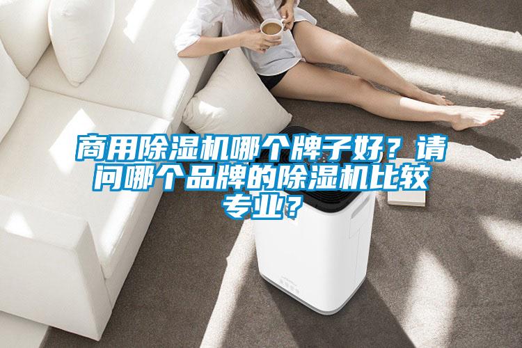 商用除濕機(jī)哪個(gè)牌子好？請(qǐng)問哪個(gè)品牌的除濕機(jī)比較專業(yè)？