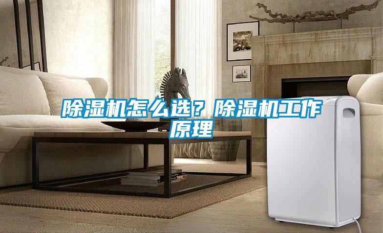 除濕機怎么選？除濕機工作原理