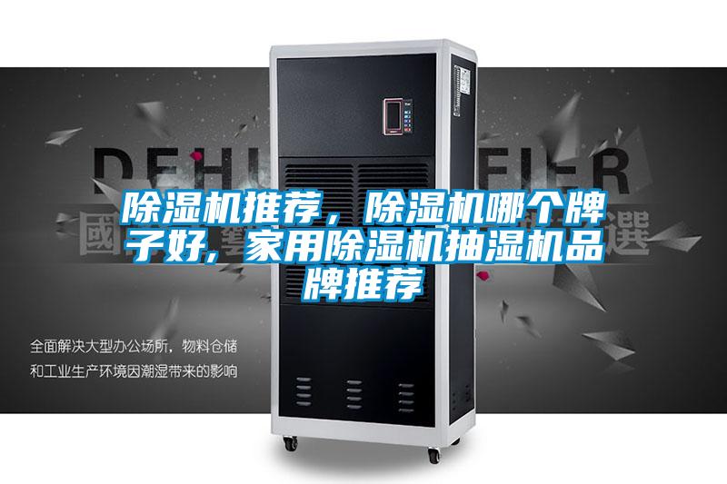 除濕機(jī)推薦，除濕機(jī)哪個(gè)牌子好, 家用除濕機(jī)抽濕機(jī)品牌推薦