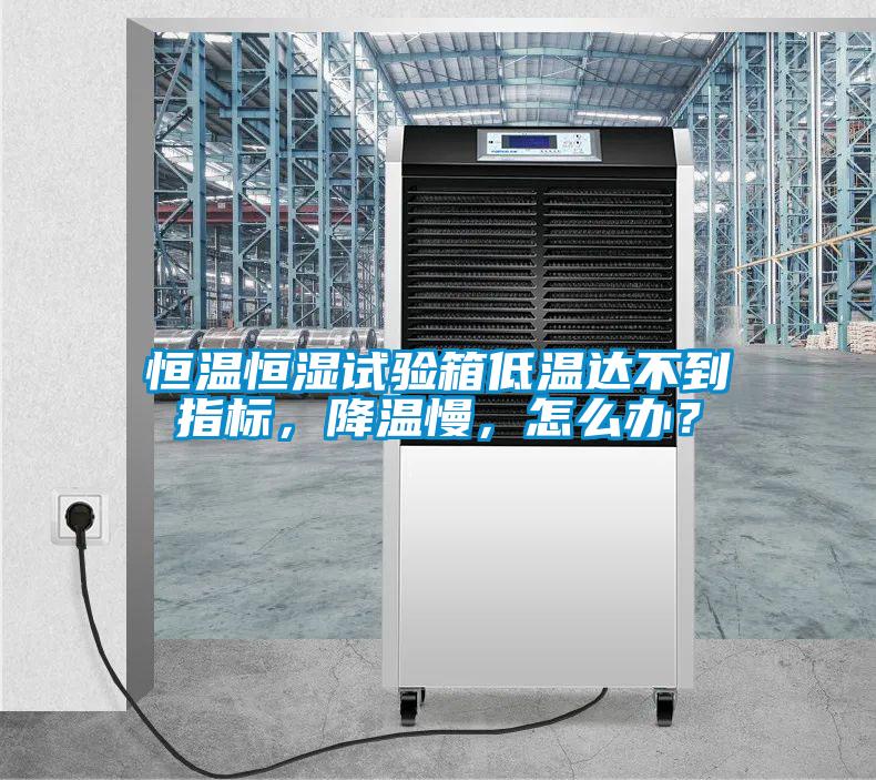 恒溫恒濕試驗箱低溫達(dá)不到指標(biāo)，降溫慢，怎么辦？