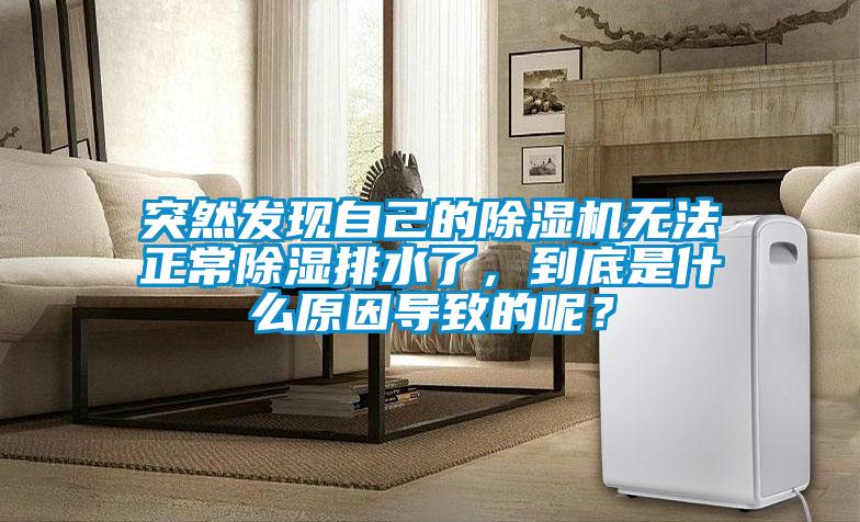 突然發(fā)現(xiàn)自己的除濕機(jī)無法正常除濕排水了，到底是什么原因?qū)е碌哪兀?/></p>
						    <p style=