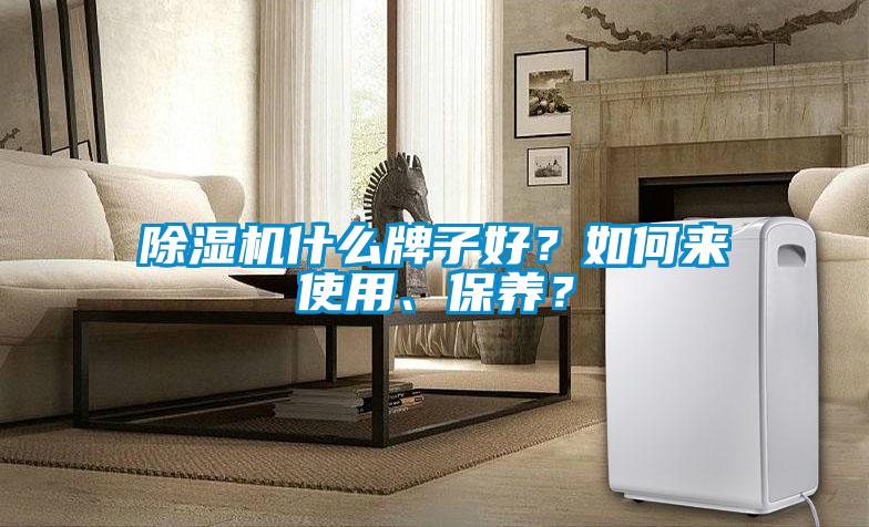 除濕機(jī)什么牌子好？如何來(lái)使用、保養(yǎng)？