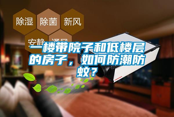 一樓帶院子和低樓層的房子，如何防潮防蚊？