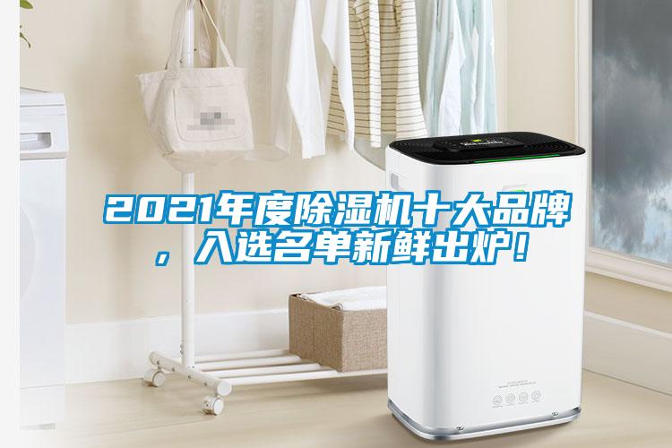 2021年度除濕機(jī)十大品牌，入選名單新鮮出爐！