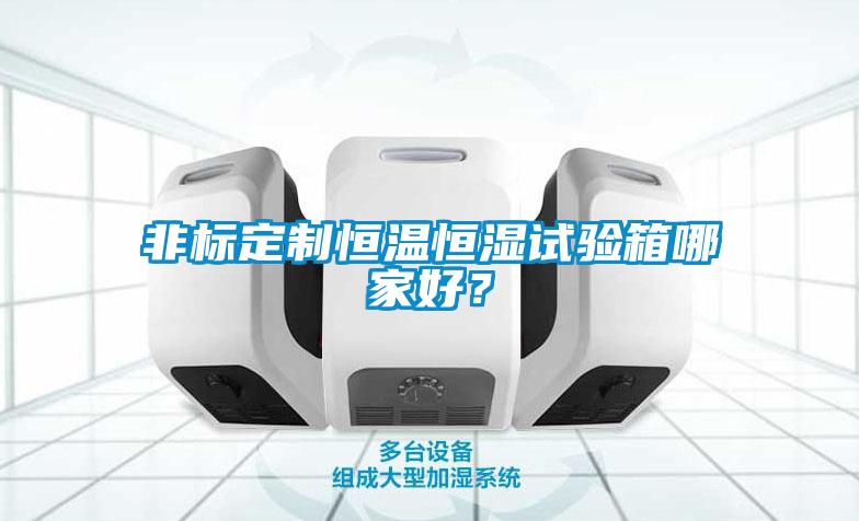 非標定制恒溫恒濕試驗箱哪家好？