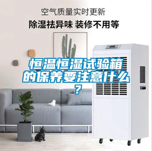 恒溫恒濕試驗箱的保養(yǎng)要注意什么？