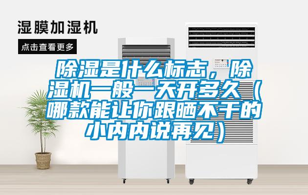 除濕是什么標(biāo)志，除濕機(jī)一般一天開多久（哪款能讓你跟曬不干的小內(nèi)內(nèi)說再見）