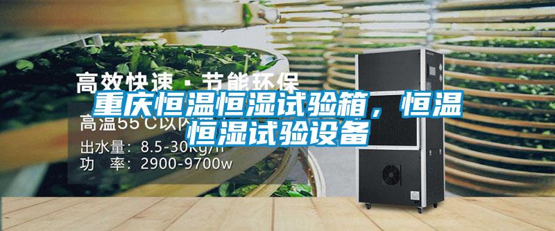 重慶恒溫恒濕試驗(yàn)箱，恒溫恒濕試驗(yàn)設(shè)備