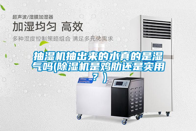 抽濕機抽出來的水真的是濕氣嗎(除濕機是雞肋還是實用？)