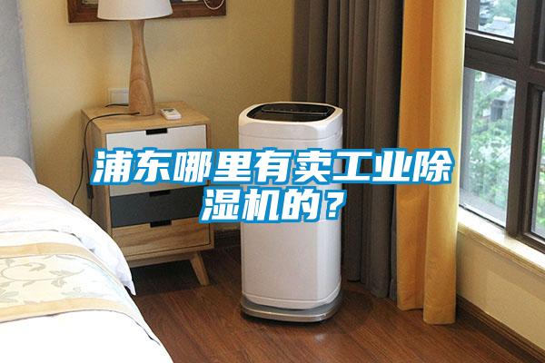 浦東哪里有賣工業(yè)除濕機的？
