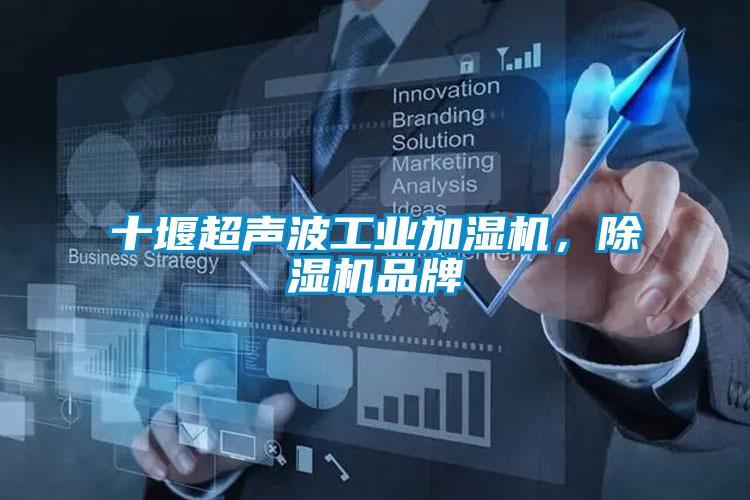十堰超聲波工業(yè)加濕機(jī)，除濕機(jī)品牌