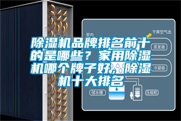 除濕機(jī)品牌排名前十的是哪些？家用除濕機(jī)哪個(gè)牌子好，除濕機(jī)十大排名