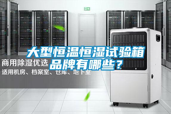 大型恒溫恒濕試驗(yàn)箱品牌有哪些？