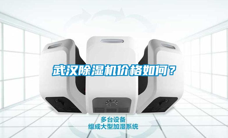 武漢除濕機(jī)價(jià)格如何？