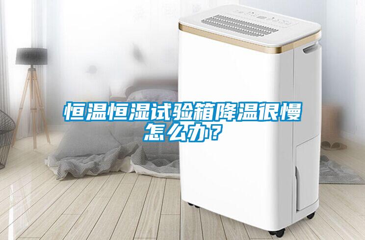 恒溫恒濕試驗(yàn)箱降溫很慢怎么辦？