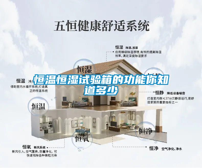 恒溫恒濕試驗箱的功能你知道多少