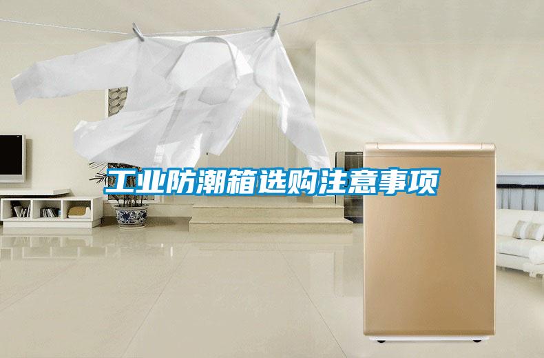 工業(yè)防潮箱選購注意事項