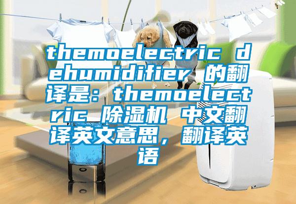 themoelectric dehumidifier 的翻譯是：themoelectric 除濕機(jī) 中文翻譯英文意思，翻譯英語