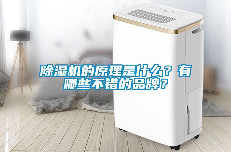 除濕機(jī)的原理是什么？有哪些不錯(cuò)的品牌？