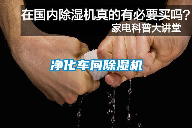 凈化車(chē)間除濕機(jī)