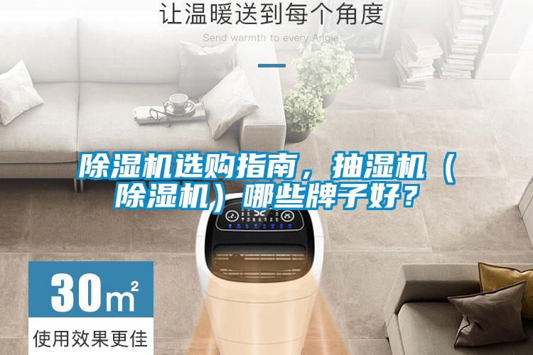 除濕機選購指南，抽濕機（除濕機）哪些牌子好？