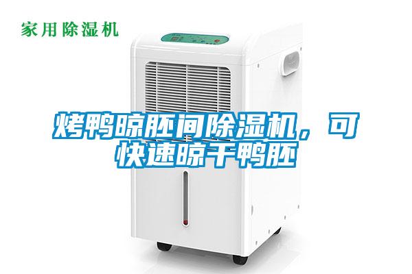 烤鴨晾胚間除濕機(jī)，可快速晾干鴨胚
