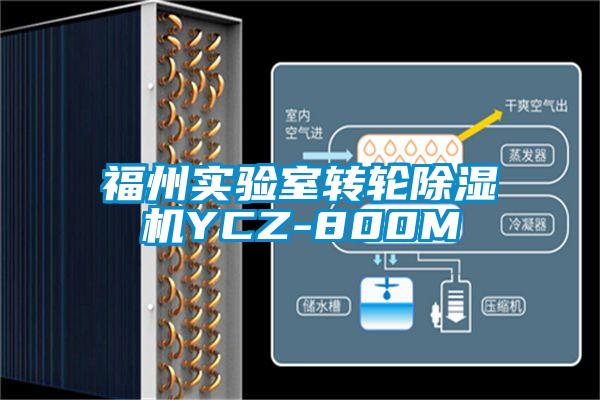 福州實(shí)驗(yàn)室轉(zhuǎn)輪除濕機(jī)YCZ-800M