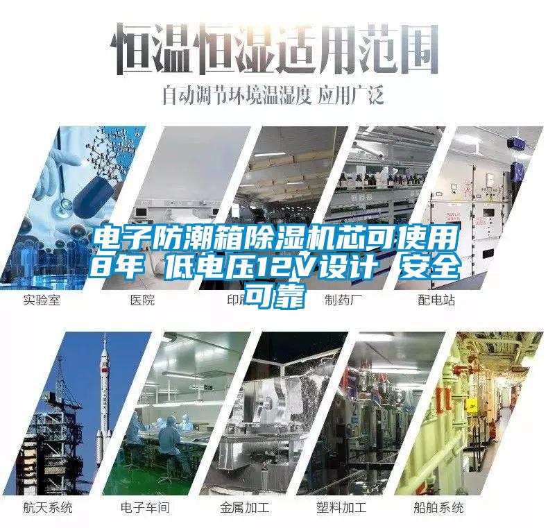 電子防潮箱除濕機(jī)芯可使用8年 低電壓12V設(shè)計 安全可靠