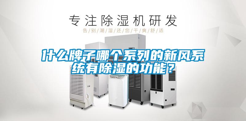 什么牌子哪個(gè)系列的新風(fēng)系統(tǒng)有除濕的功能？
