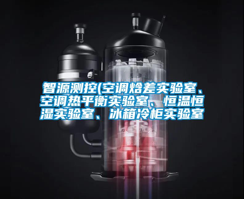 智源測控(空調(diào)焓差實(shí)驗(yàn)室、空調(diào)熱平衡實(shí)驗(yàn)室、恒溫恒濕實(shí)驗(yàn)室、冰箱冷柜實(shí)驗(yàn)室