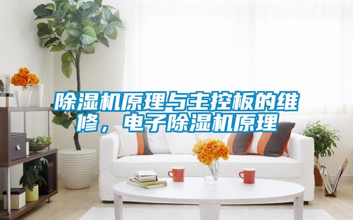 除濕機(jī)原理與主控板的維修，電子除濕機(jī)原理