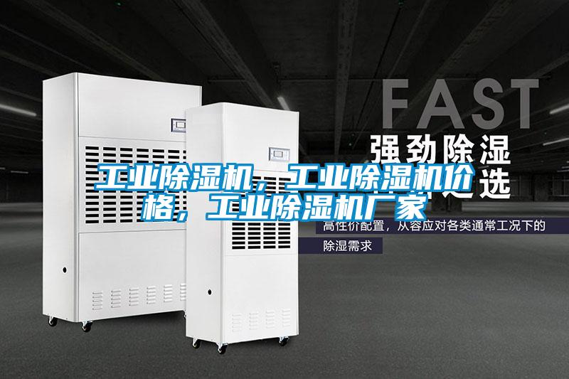 工業(yè)除濕機，工業(yè)除濕機價格，工業(yè)除濕機廠家