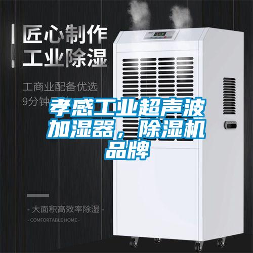 孝感工業(yè)超聲波加濕器，除濕機(jī)品牌