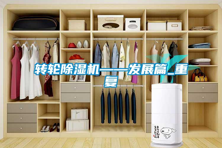 轉(zhuǎn)輪除濕機——發(fā)展篇_重復