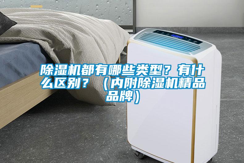 除濕機(jī)都有哪些類型？有什么區(qū)別？（內(nèi)附除濕機(jī)精品品牌）