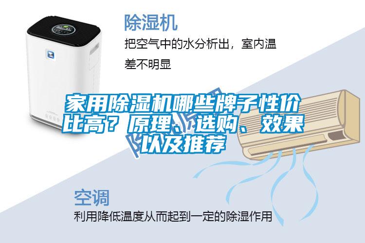 家用除濕機(jī)哪些牌子性價(jià)比高？原理、選購(gòu)、效果以及推薦