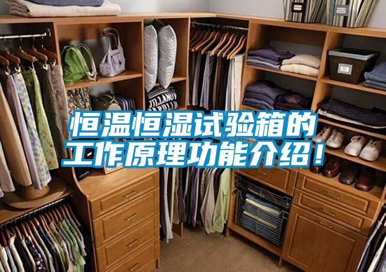 恒溫恒濕試驗(yàn)箱的工作原理功能介紹！