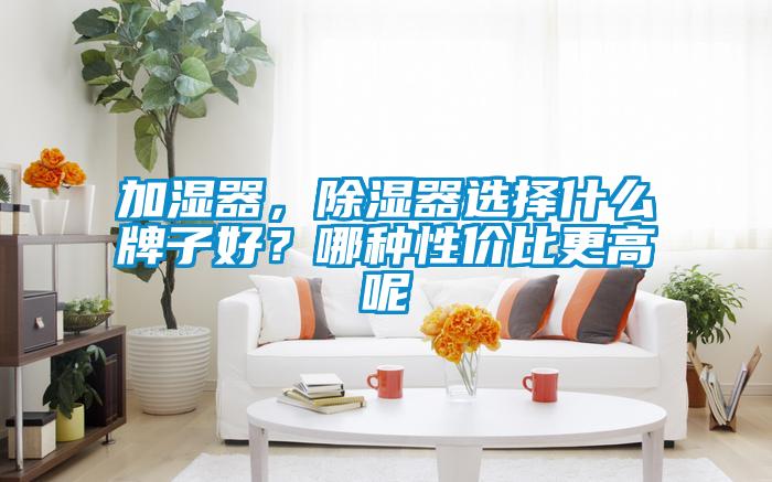 加濕器，除濕器選擇什么牌子好？哪種性價比更高呢