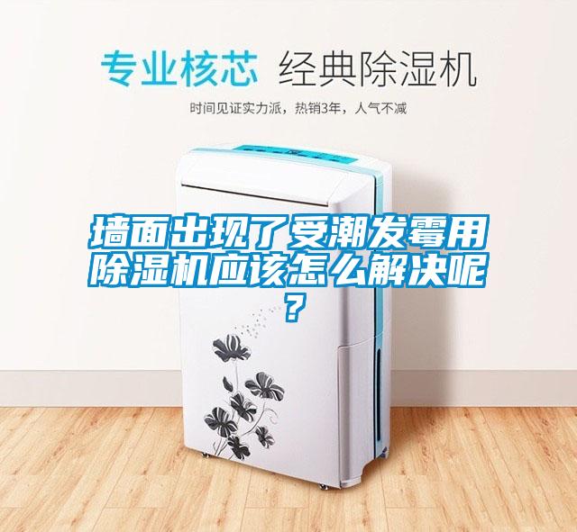 墻面出現(xiàn)了受潮發(fā)霉用除濕機(jī)應(yīng)該怎么解決呢？