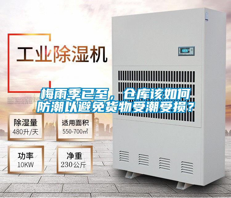 梅雨季已至，倉(cāng)庫(kù)該如何防潮以避免貨物受潮受損？