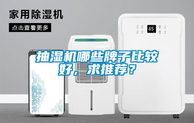 抽濕機(jī)哪些牌子比較好，求推薦？