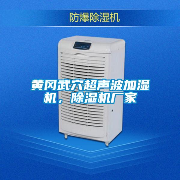 黃岡武穴超聲波加濕機(jī)，除濕機(jī)廠家