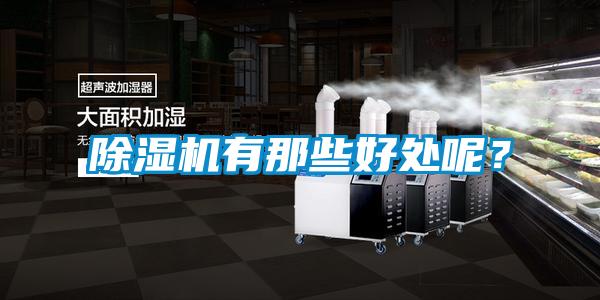 除濕機有那些好處呢？